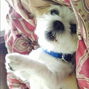 Meet your Posher, Tina