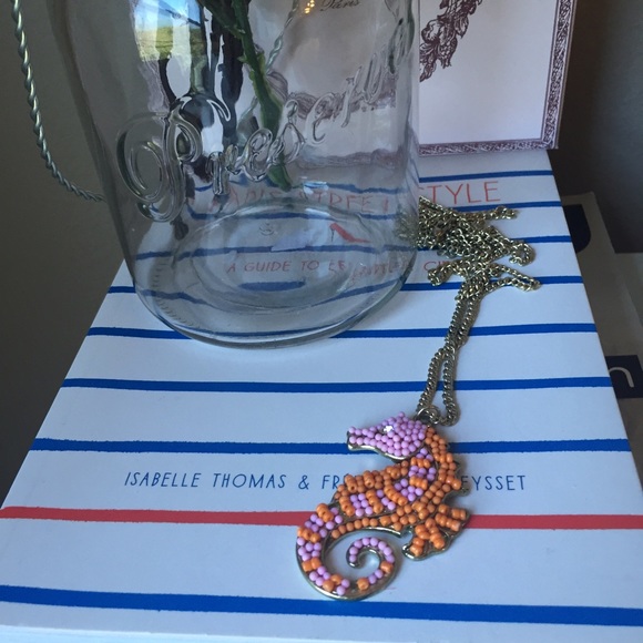 ⭐️ Cute Seahorse Long Necklace ⭐️