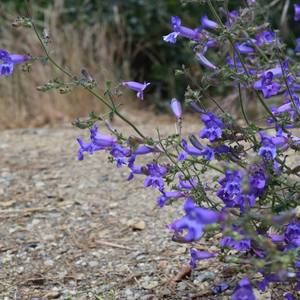 Meet your Posher, Cari