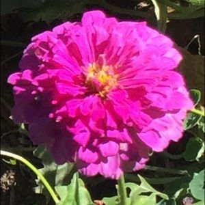 Meet your Posher, Barbara