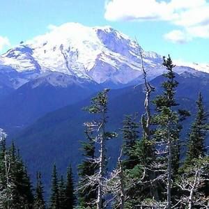 Meet your Posher, Jean