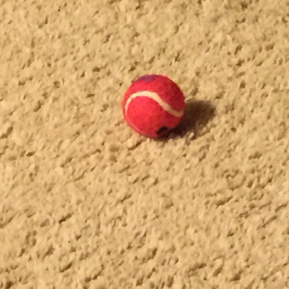 Meet your Posher, Heidi - Picture 1 of 1