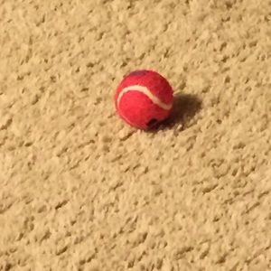 Meet your Posher, Heidi