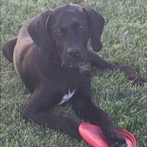 Meet your Posher, Kim