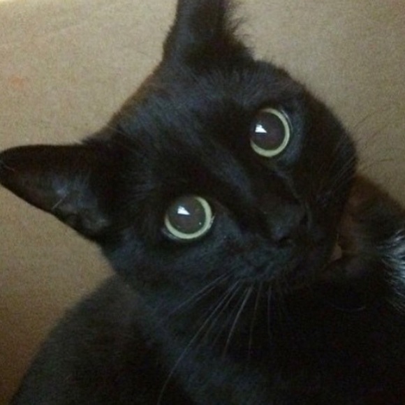 Meet your Posher, Alana