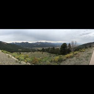 Meet your Posher, Sydney