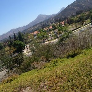 Meet your Posher, Jade