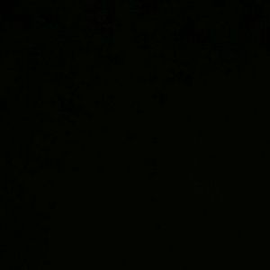 Meet your Posher, Adriana