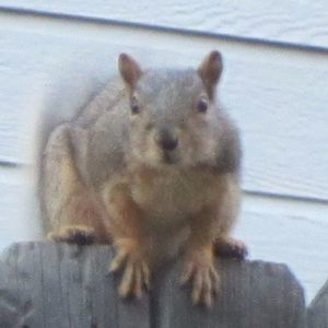 Meet your Posher, Wendi