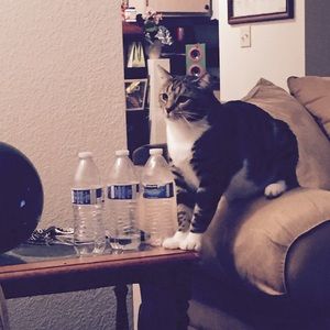 Meet your Posher, Danae