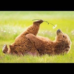 Meet your Posher, Deborah