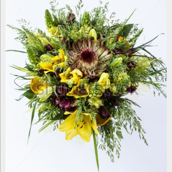 Meet your Posher, Erika - Picture 1 of 1