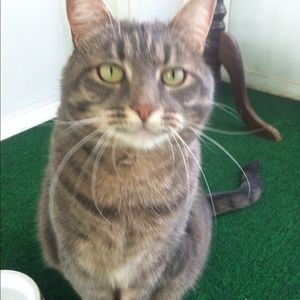 Meet your Posher, Aliah