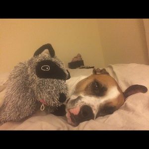 Meet your Posher, Hanna