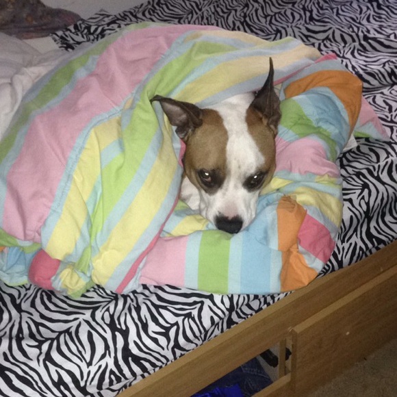 Meet your Posher, Caitlin