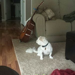 Meet your Posher, Lindsay