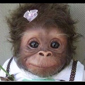 Meet your Posher, Magan