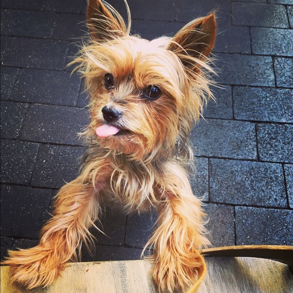 Meet your Posher, Jill - Picture 3 of 3