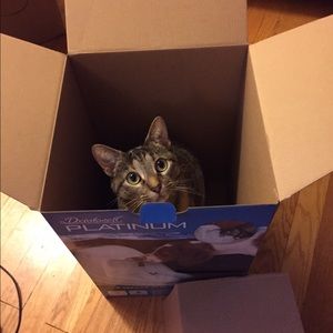 Meet your Posher, Katherine