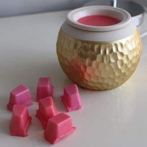 Scentsy warmer