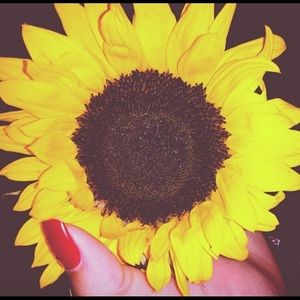 Meet your Posher, Alaina