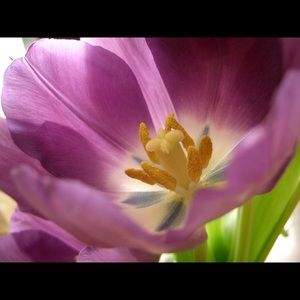 Meet your Posher, Gabrielle