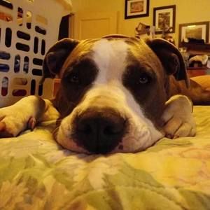 Meet your Posher, Cheryl