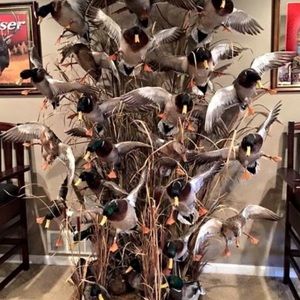 Meet your Posher, Bryce