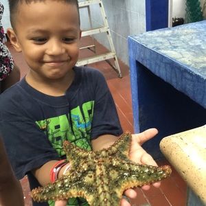 Meet your Posher, Ricardo