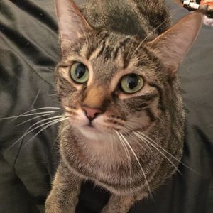 Meet your Posher, Jacqueline