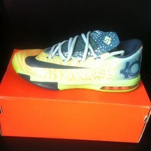 KD ligers VI