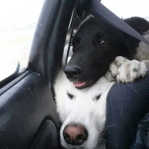 Meet your Posher, Lucia