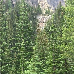 Meet your Posher, Rachelle