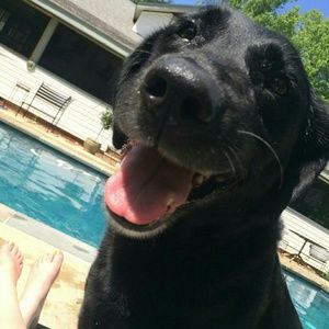 Meet your Posher, Melisa