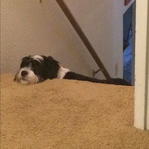 Meet your Posher, Bry