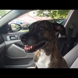 Meet your Posher, Chelsey