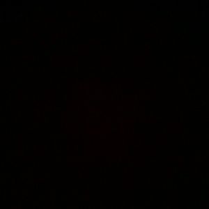 Meet your Posher, Lillian