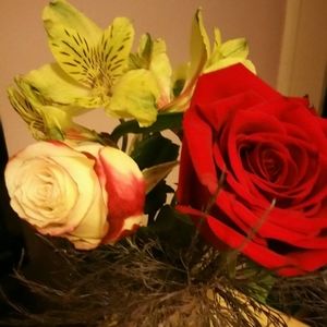 Meet your Posher, Marissa