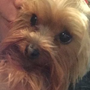 Meet your Posher, Ashton