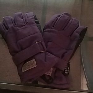 Thinsulate purple glives