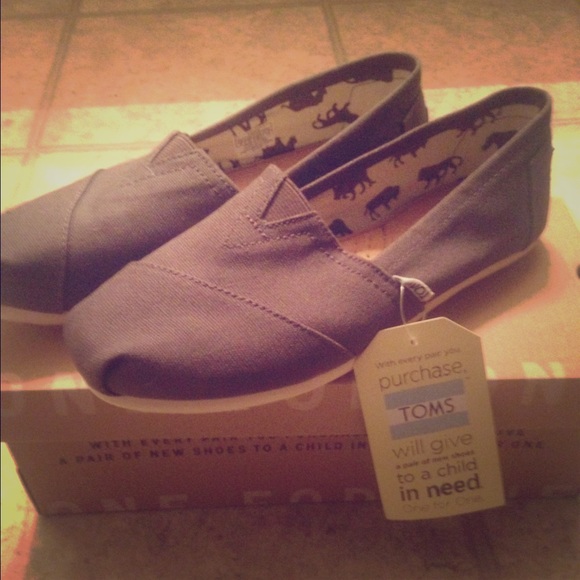 Ash grey Classic TOMS