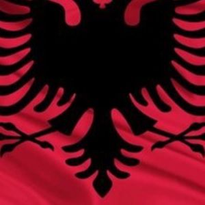 Meet your Posher, Diellza