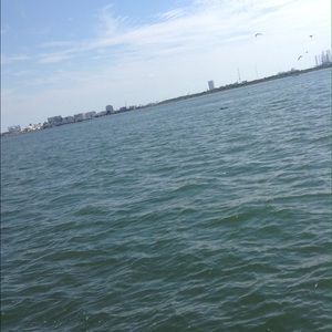 Meet your Posher, Alma