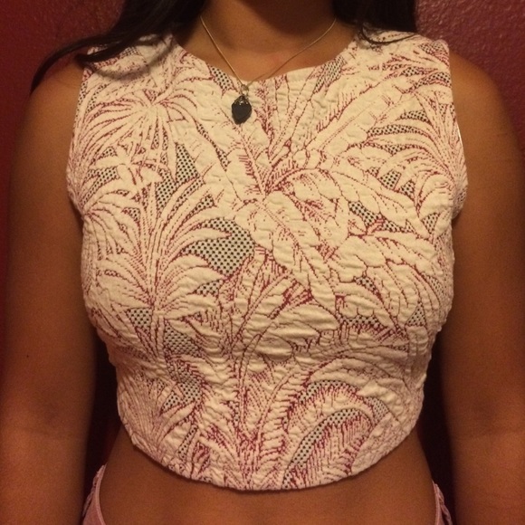 Zara burgundy crop top