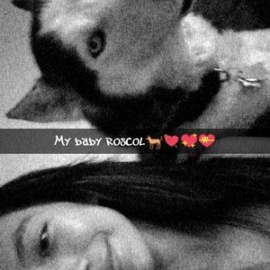 Meet your Posher, Lupe