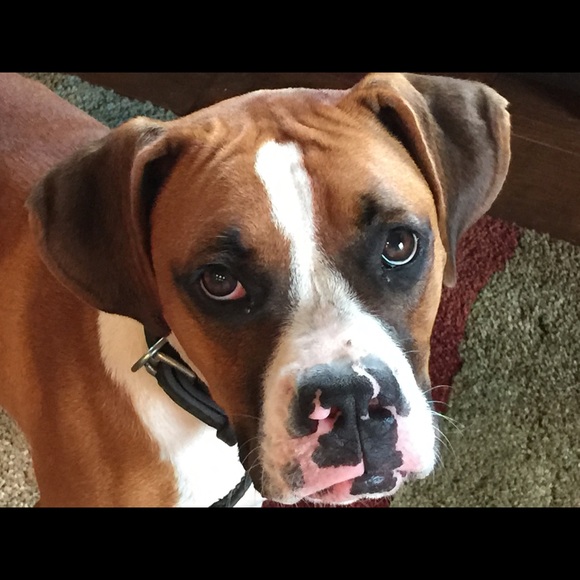 Meet your Posher, Karren - Picture 1 of 1