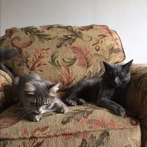 Meet your Posher, Lauren