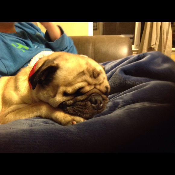 Meet your Posher, Monica