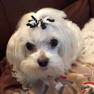 Meet your Posher, Lorrie