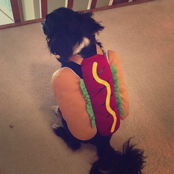Hot dog DOG Halloween costume🎃